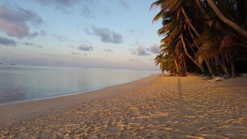 Little Polynesian Resort Rarotonga Extérieur photo